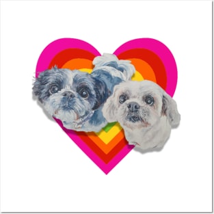 Super cute Shiz Tzus on a rainbow heart! Posters and Art